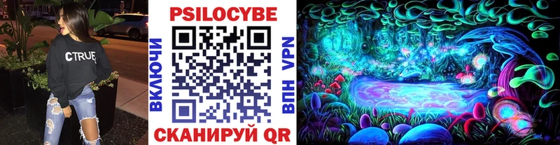 наркота  Биробиджан  Псилоцибиновые грибы Psilocybine cubensis 