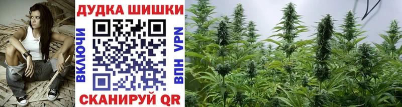 купить наркотик  Биробиджан  Шишки марихуана индика 